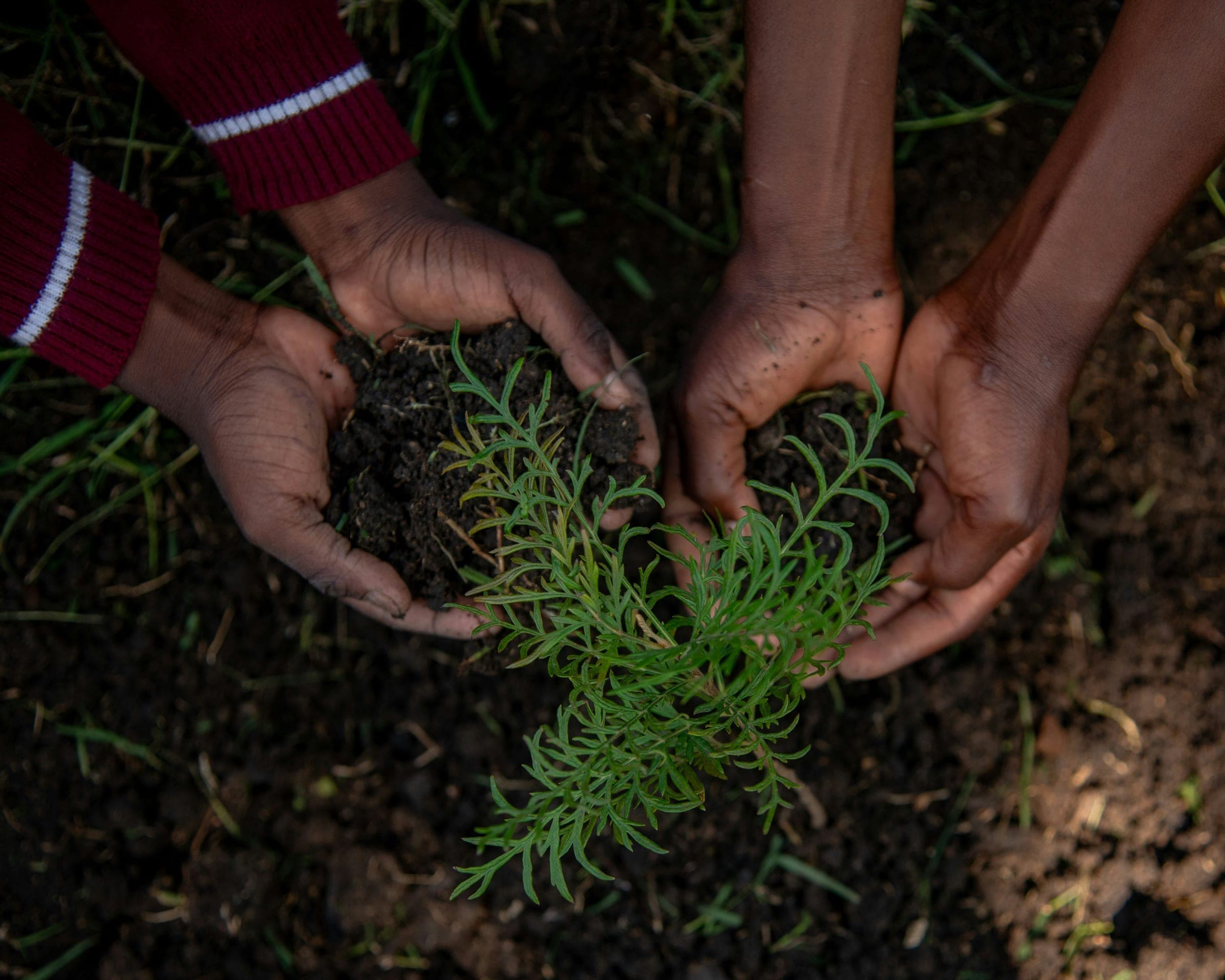 Conservation des sols et gestion des ressources naturelles